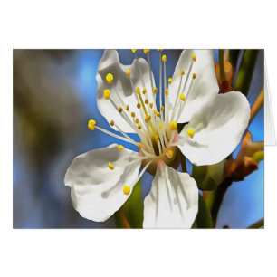 Botaniska konst av plommonBlommar Hälsningskort