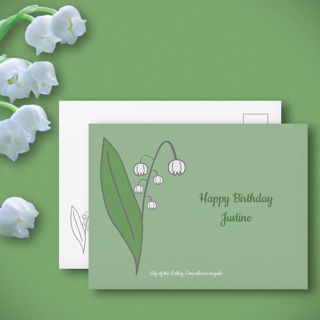 Botaniska Lily i Valley Pastel Flower Vykort (Botanical Lily of the Valley Postcard)
