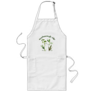 Botaniska Örter Parsley Sage Rosemary Thyme Text Långt Förkläde