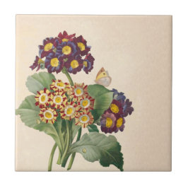 Botaniska Primrose Kakelplatta