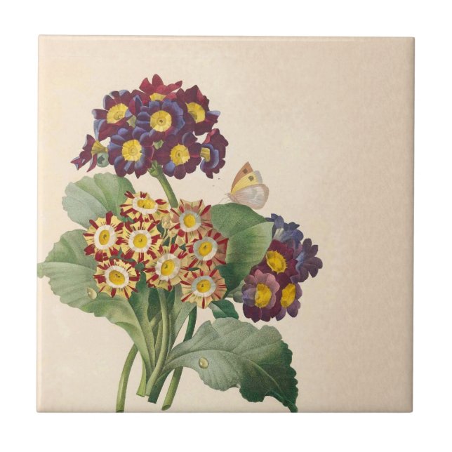 Botaniska Primrose Kakelplatta (Framsidan)