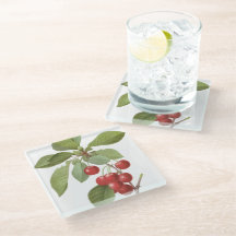 Botaniska rödkörsbär