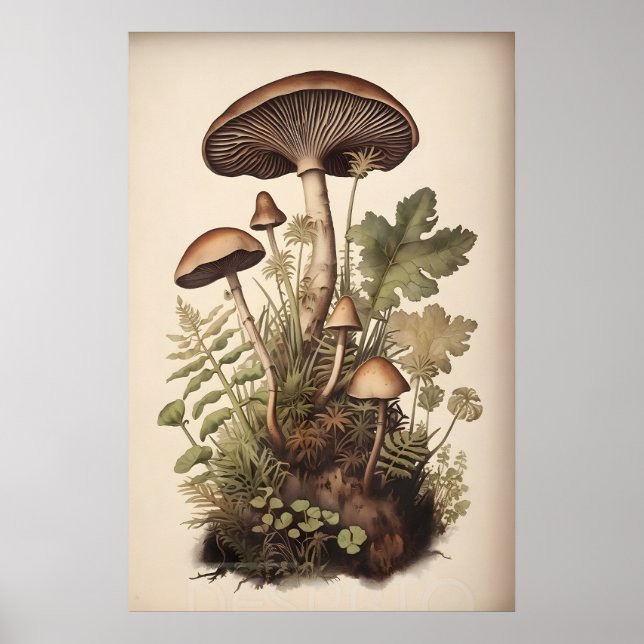 Botaniska svampar i mossfarn, Boho skog Poster (Framsidan)