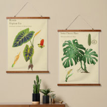 Botaniska tapestries - Monstera