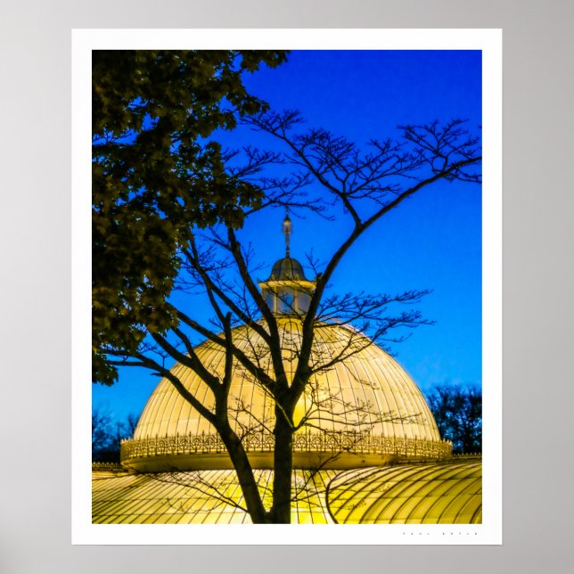 Botaniska trädgårdar, Glasgow Poster (Framsidan)