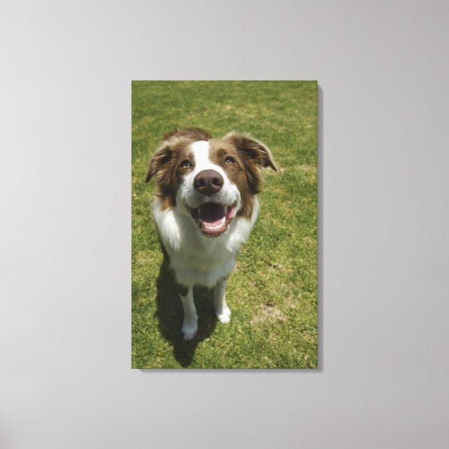 Botaniska trädgårdar, Sydney, New South Wales, 2 Canvastryck (Framsida)