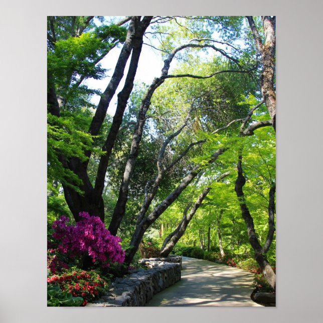 Botaniska trädgårdar, Väg, Maple Träd Poster (Framsidan)