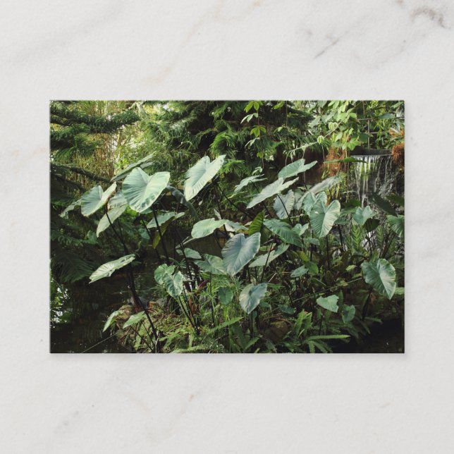 Botaniska trädgårdar visitkort (Framsida)
