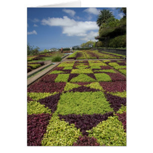 Botaniska trädgården, Funchal, Madeiraöarna, Hälsningskort