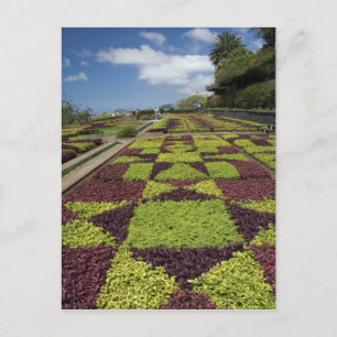 Botaniska trädgården, Funchal, Madeiraöarna, Vykort