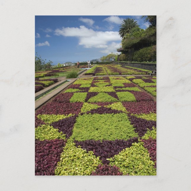 Botaniska trädgården, Funchal, Madeiraöarna, Vykort (Framsida)