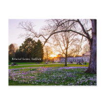 Botaniska trädgården i Sheffield