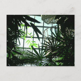 Botaniska Trappor Vykort
