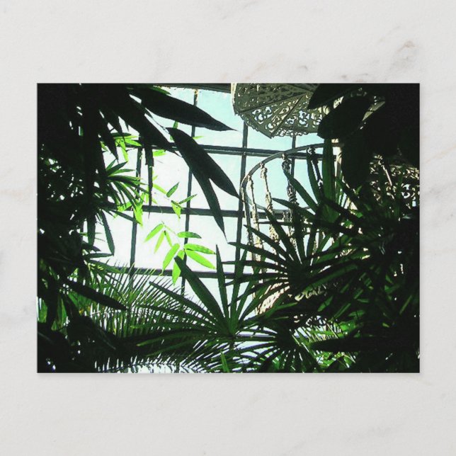 Botaniska Trappor Vykort (Framsida)