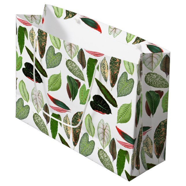 Botaniska vattenfärgsVintagen Greenery Lövs (Framsidan Vinklad)