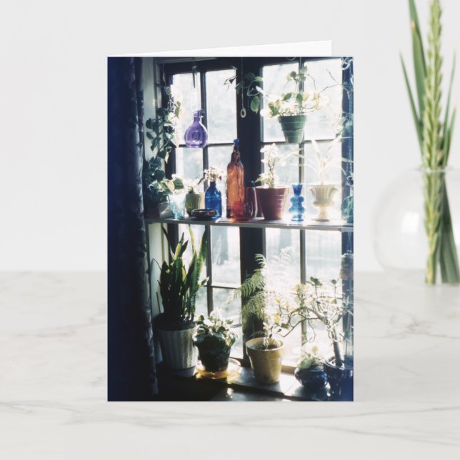 Botaniska växter i färgat glas Flaskor Kort (Framsida)