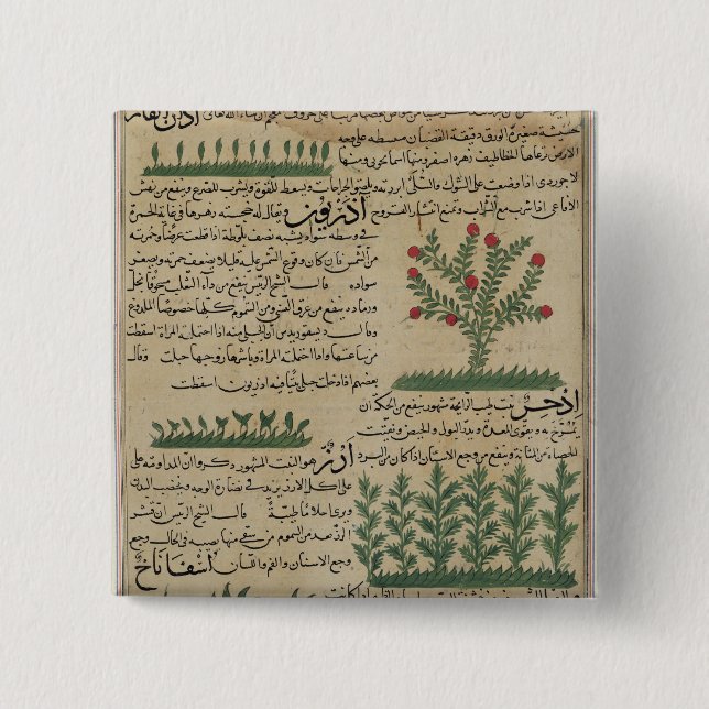 Botaniska växter, illustration från ' knapp (Framsida)