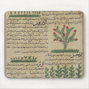 Botaniska växter, illustration från ' musmatta