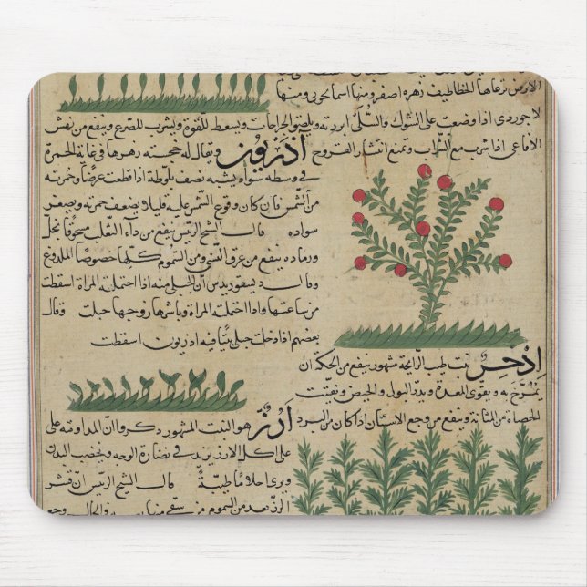 Botaniska växter, illustration från ' musmatta (Framsidan)