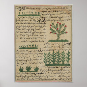 Botaniska växter, illustration från "The The The Poster