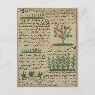 Botaniska växter, illustration från "The The The Vykort