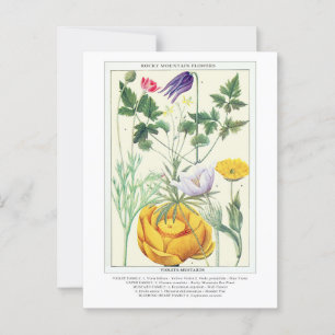 Botaniska Vintage Rocky Mountain Wildflowers Vykort