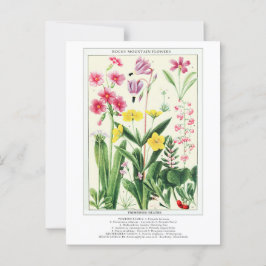 Botaniska Vintagen Rocky Mountain Wildblommor Vykort