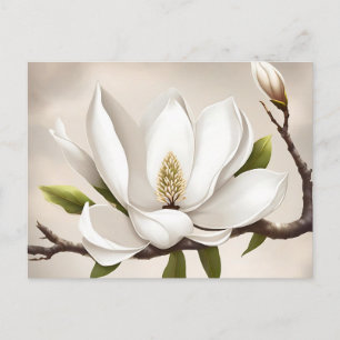 Botaniska vita Magnolia Vykort