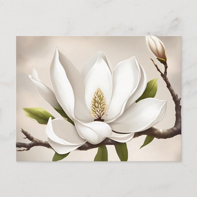Botaniska vita Magnolia Vykort (Framsida)
