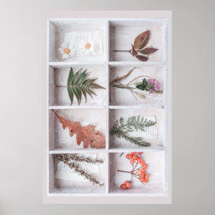 Botaniska vita skugga, blommor Löv Ferns Poster