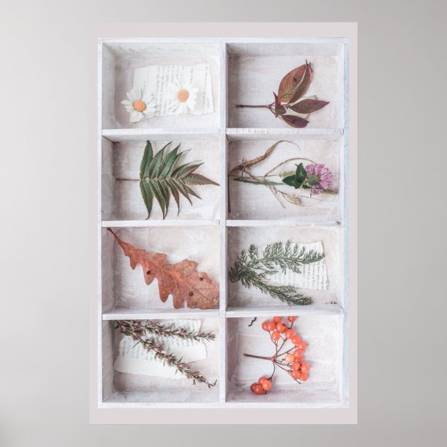 Botaniska vita skugga, blommor Löv Ferns Poster (Framsidan)