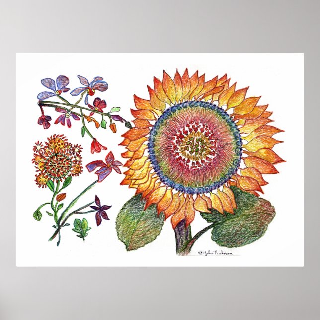 botaniskt46 poster (Framsidan)