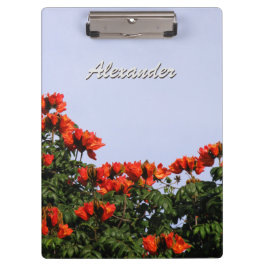 Botaniskt afrikanskt tulpanträd någon text