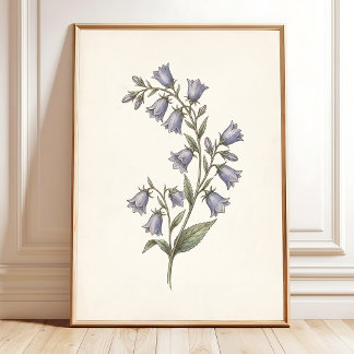 Botaniskt blåklocka stugväggskonst poster