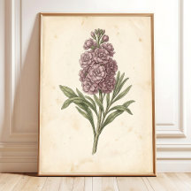 Botaniskt blomsterkonsttryck Boho-stil