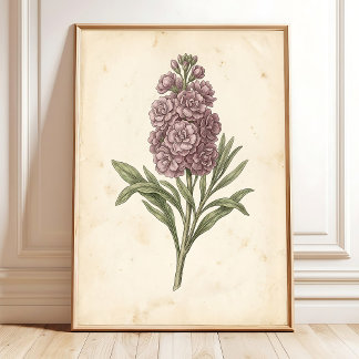 Botaniskt blomsterkonsttryck Boho-stil Poster