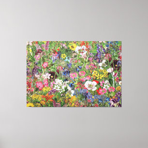 Botaniskt Bloom Nature Wildblomma Canvastryck