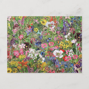Botaniskt Bloom Nature Wildblomma Helg Vykort