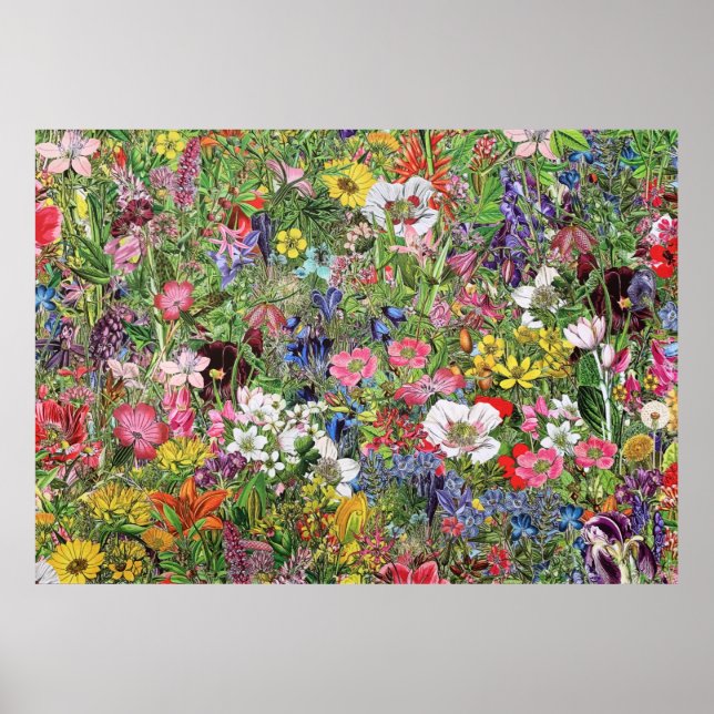 Botaniskt Bloom Nature Wildblomma Poster (Framsidan)