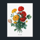 Botaniskt Camellia Bokeh Vykort<br><div class="desc">Botaniska Camellias bokeh med vit,  röd och gula blommor.</div>