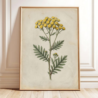 Botaniskt Cottage Vintage Väggkonst Canvas