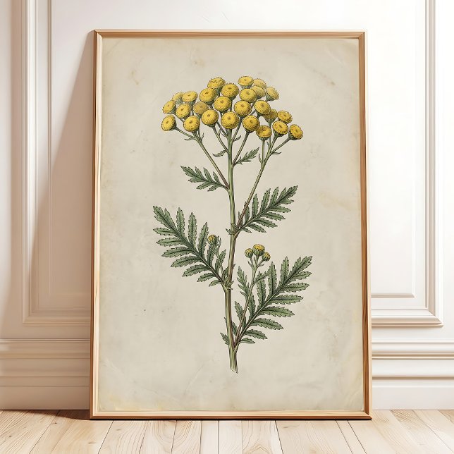 Botaniskt Cottage Vintage Väggkonst Canvas (Skapare uppladdad)