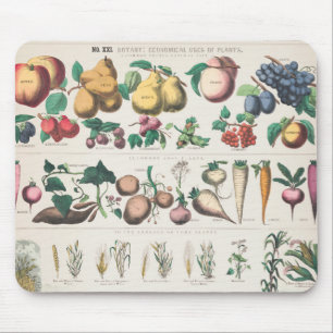 Botaniskt diagram över Vintage: Ekonomiska Använ Musmatta