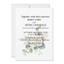 botaniskt foto av elegant eucalyptus