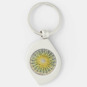 Botaniskt foto för jordklotkaktusväxt swirl silverfärgad nyckelring