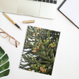 Botaniskt foto från Monkey Puzzle Träd Anteckningsbok