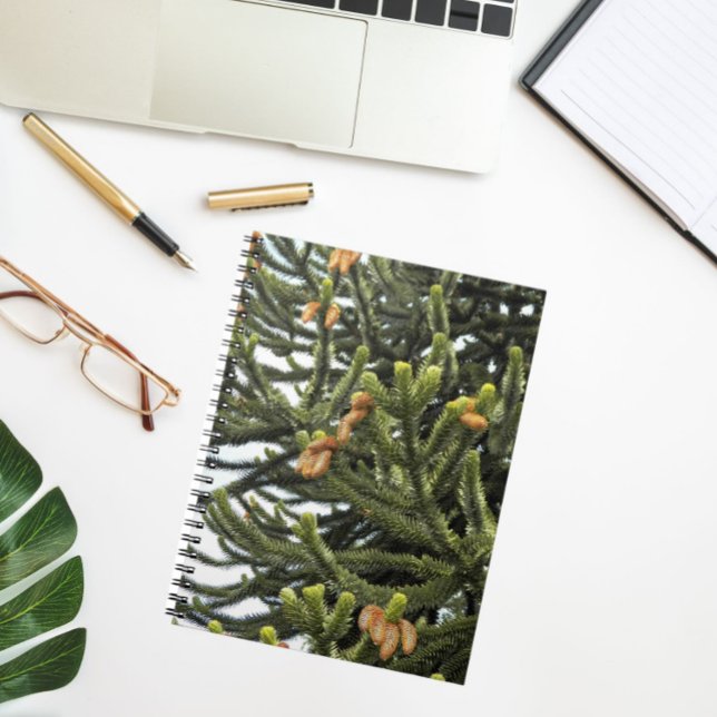 Botaniskt foto från Monkey Puzzle Träd Anteckningsbok (In Situ)
