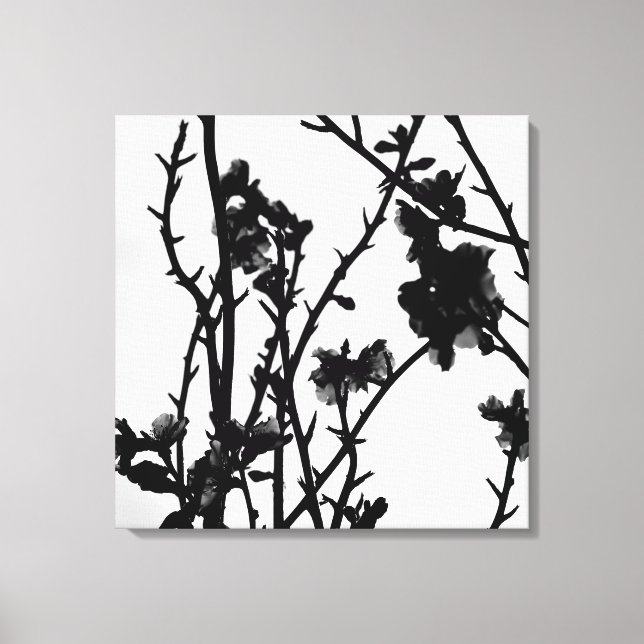 Botaniskt fotografi av Almond Träd Outline Blommig Canvastryck (Framsida)