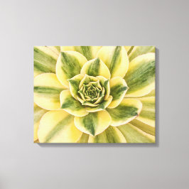 Botaniskt fotografi av Grönt Succulph på canvas
