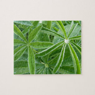 Botaniskt fotografi av Lupin Löv Pussel